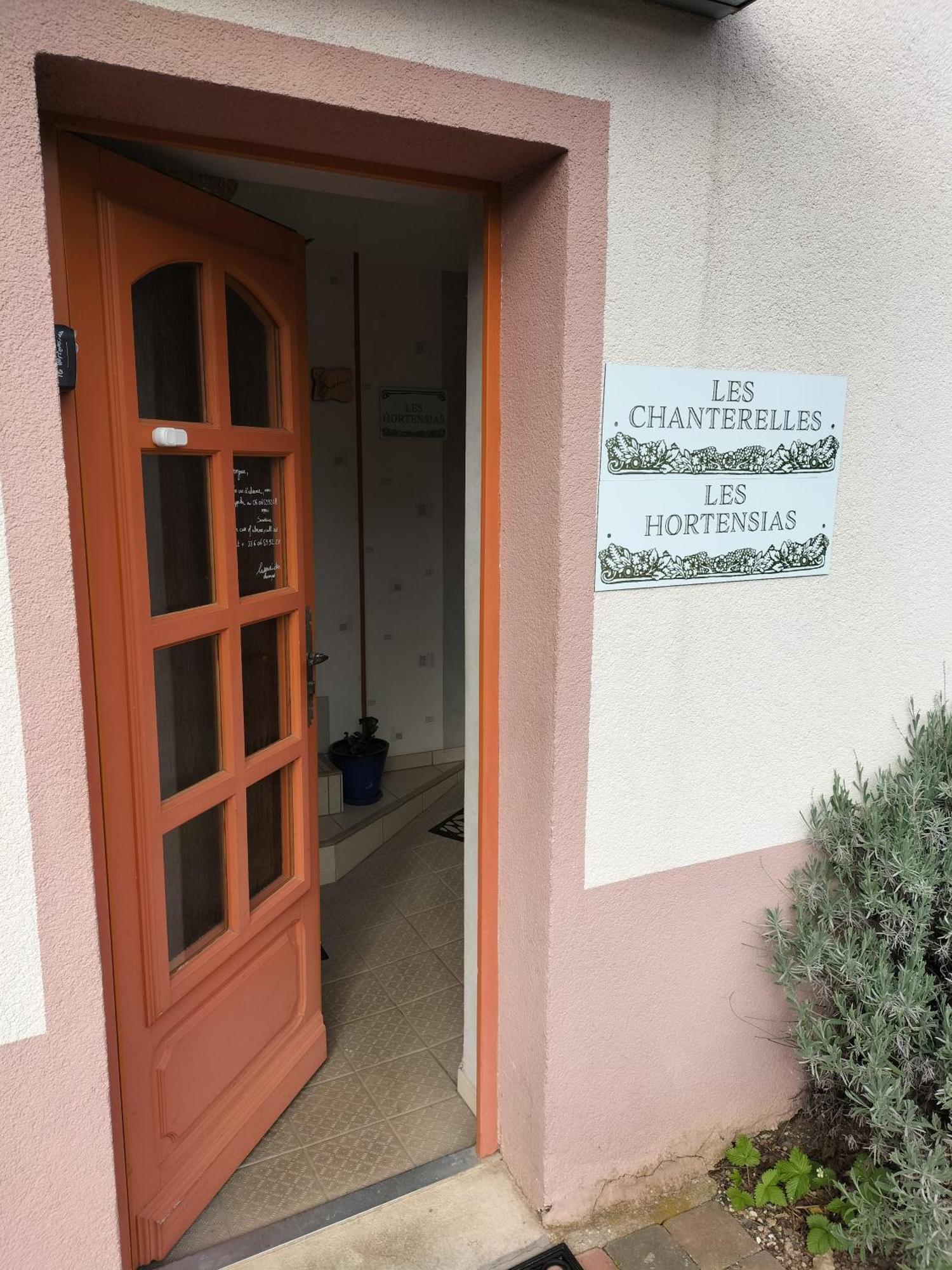 Les Hortensias La Souris Des Champs Etival-Clairefontaine Bagian luar foto