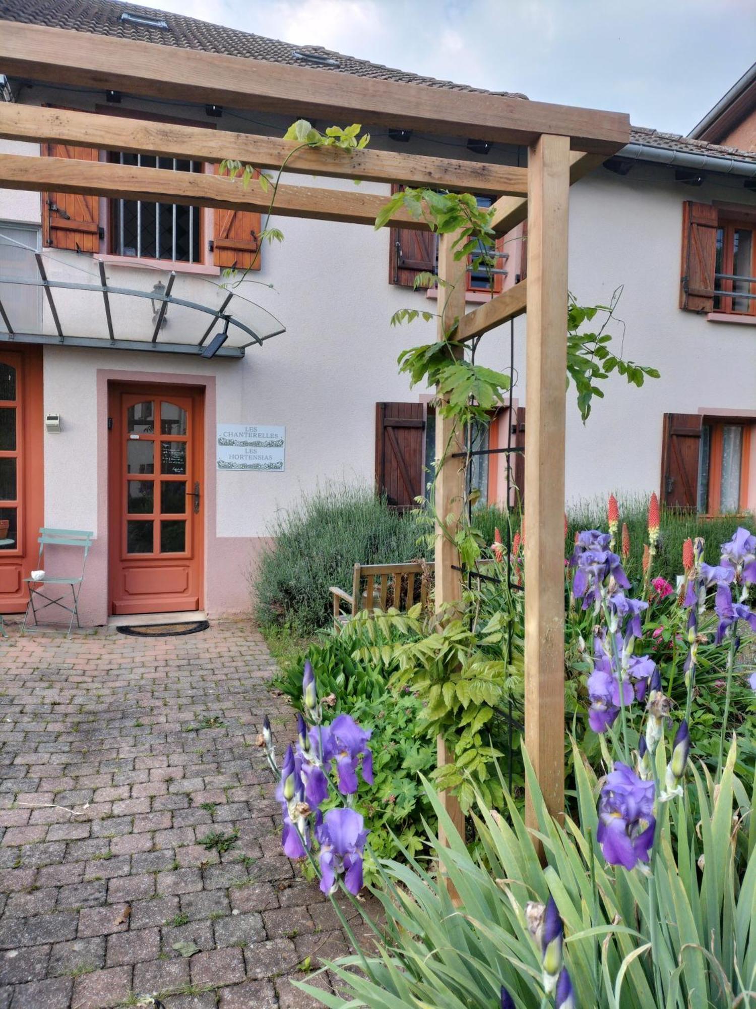 Les Hortensias La Souris Des Champs Etival-Clairefontaine Bagian luar foto
